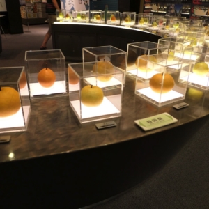 鳥取観光「なしっこ館」で梨食べ比べ！二十世紀梨の歴史や鳥取土産充実