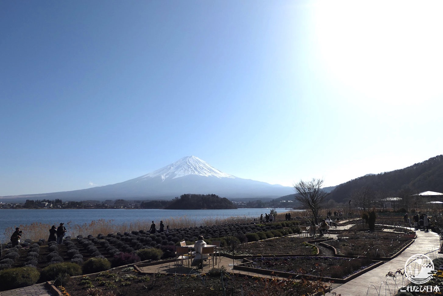 山梨県「大石公園」