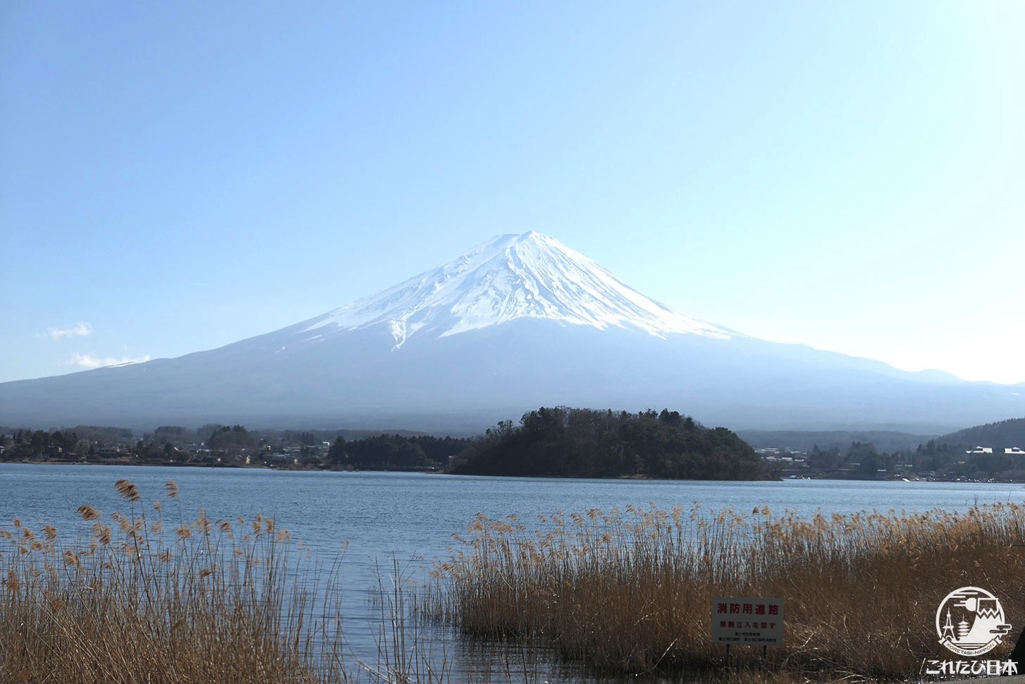 山梨県「大石公園」から見た富士山と河口湖